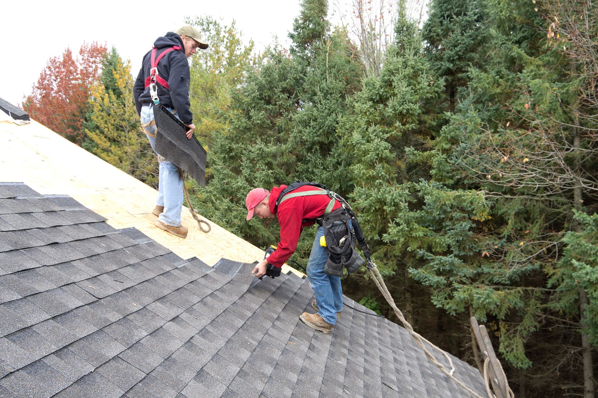 2 Harnessed Roofing working