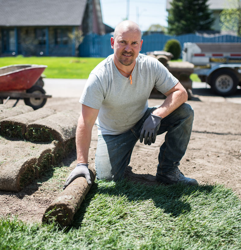 Landscaper laying sod down in a yard and smiling