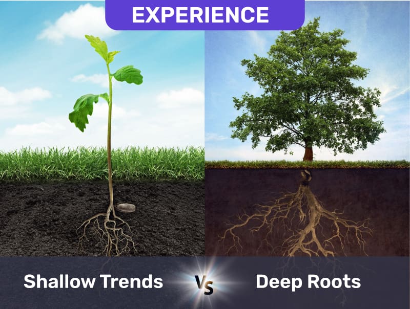 Graphic show the difference between experience: Shallow trends or deep roots of years of experience using trees one with small roots and one with deep roots